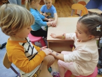 received_638178735601697-kopiowanie-jpeg1746026677